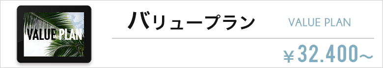 バリュープラン