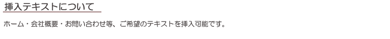 挿入テキストについて